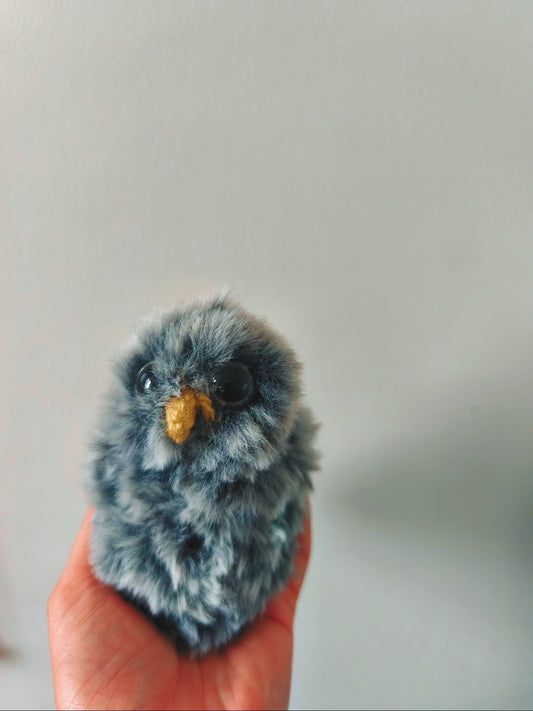🦉 Lonni