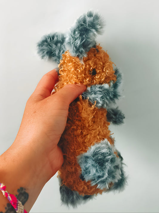 🐇 Lapin nain, small rabbit, Tagada