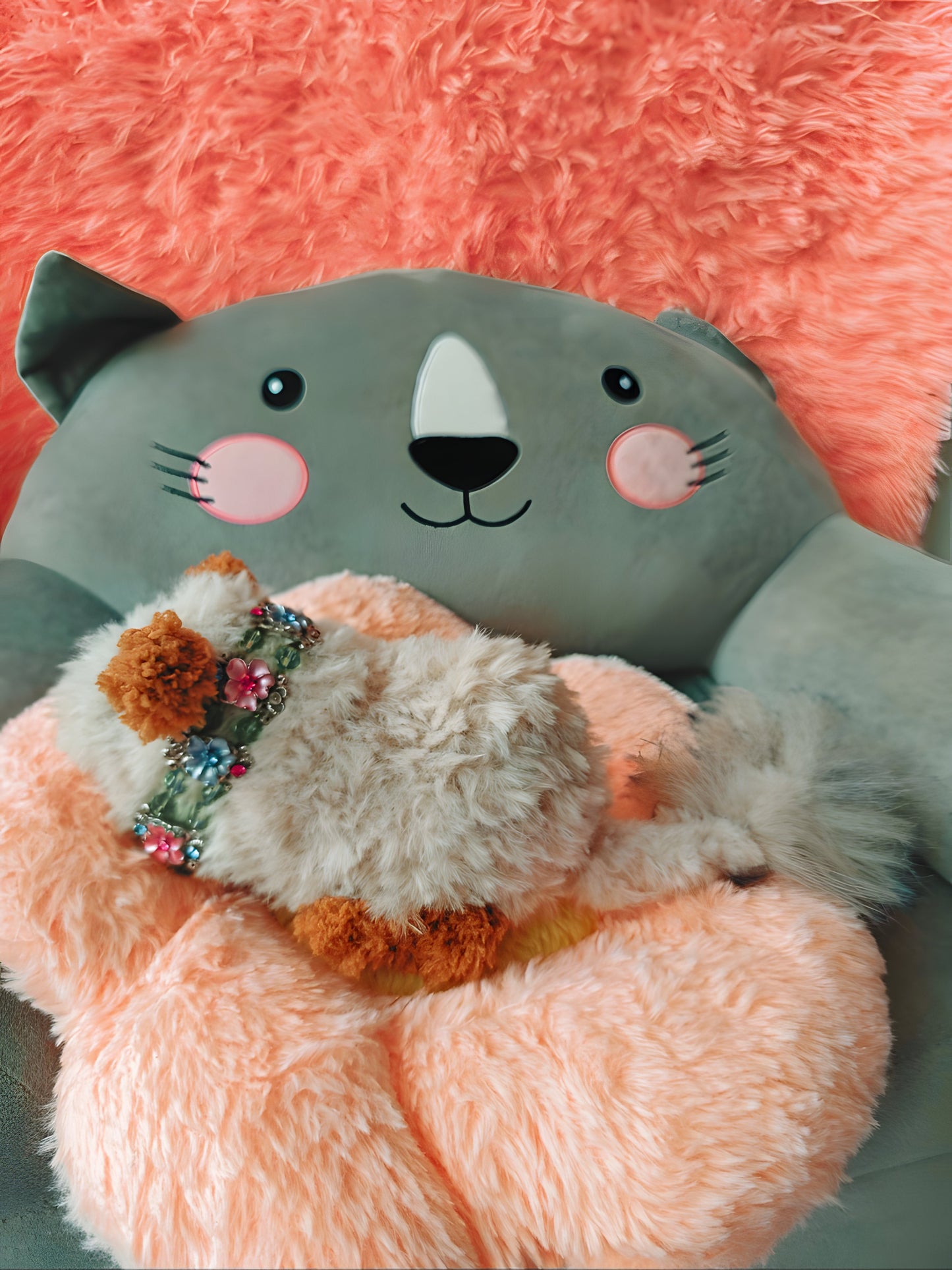 🥕 Bella le chinchilla