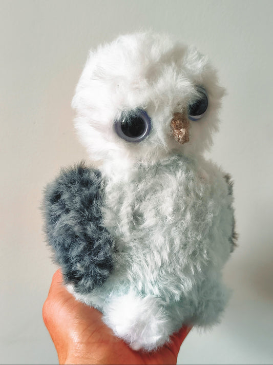 🦉 Acacia