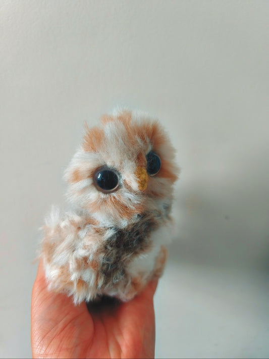 🦉 Riri