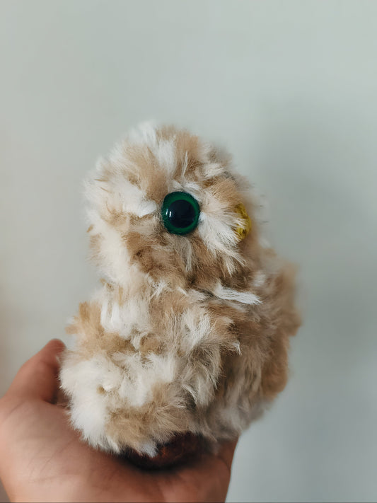 🦉Bébé hibou, baby owlet ( Nioky )