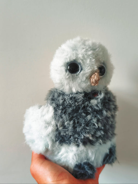 🦉 Tulip