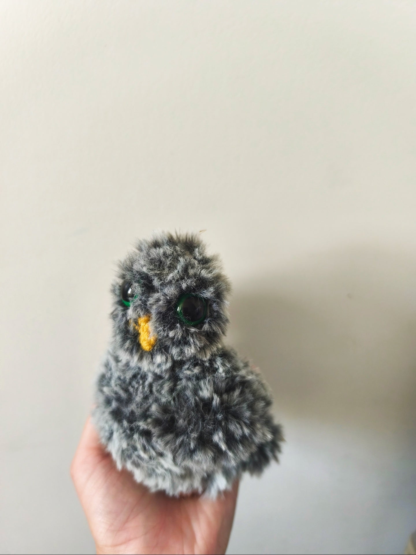 🦉 Poncho