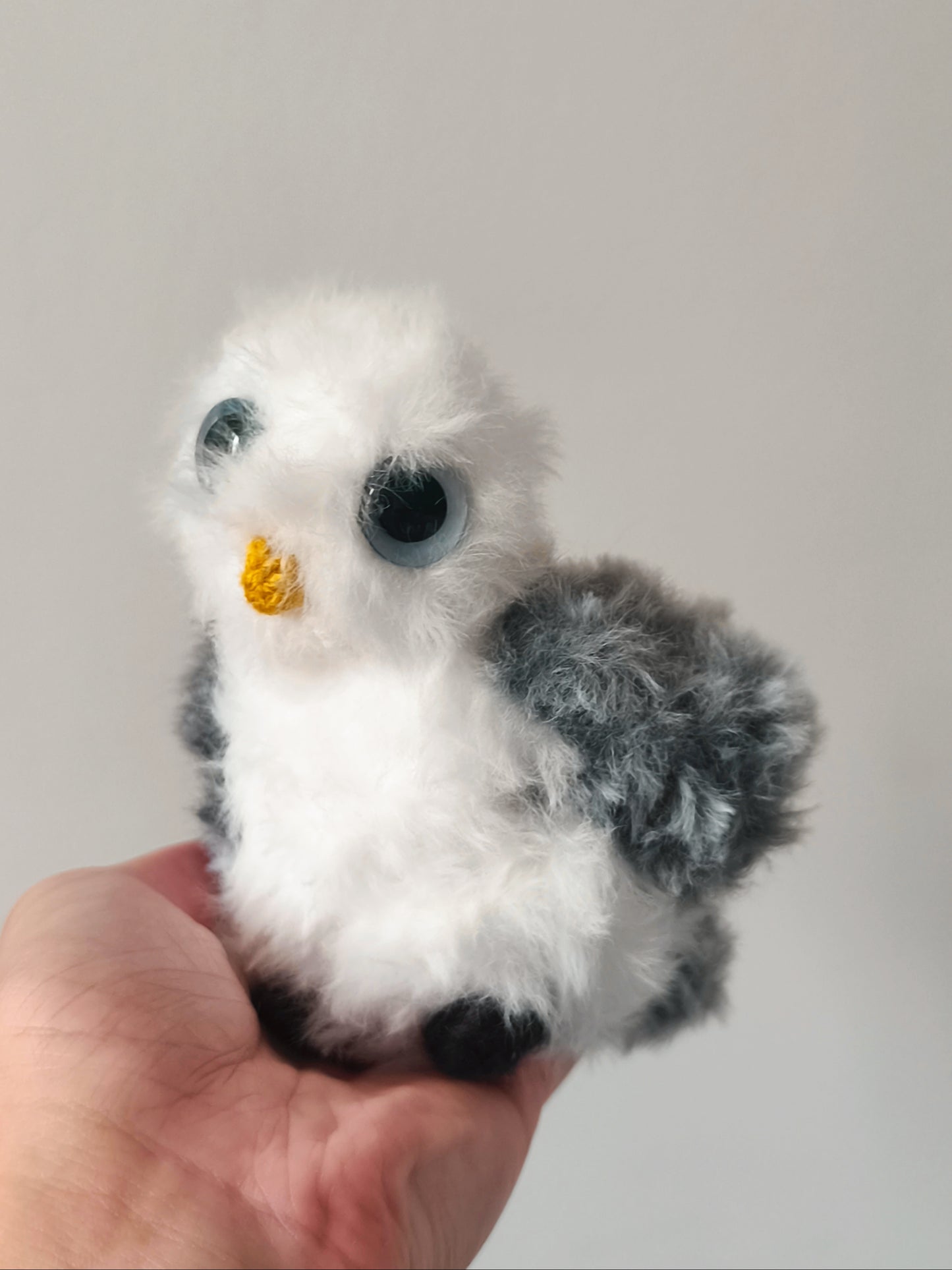 🦉Bébé hiboux, baby owl, Winter