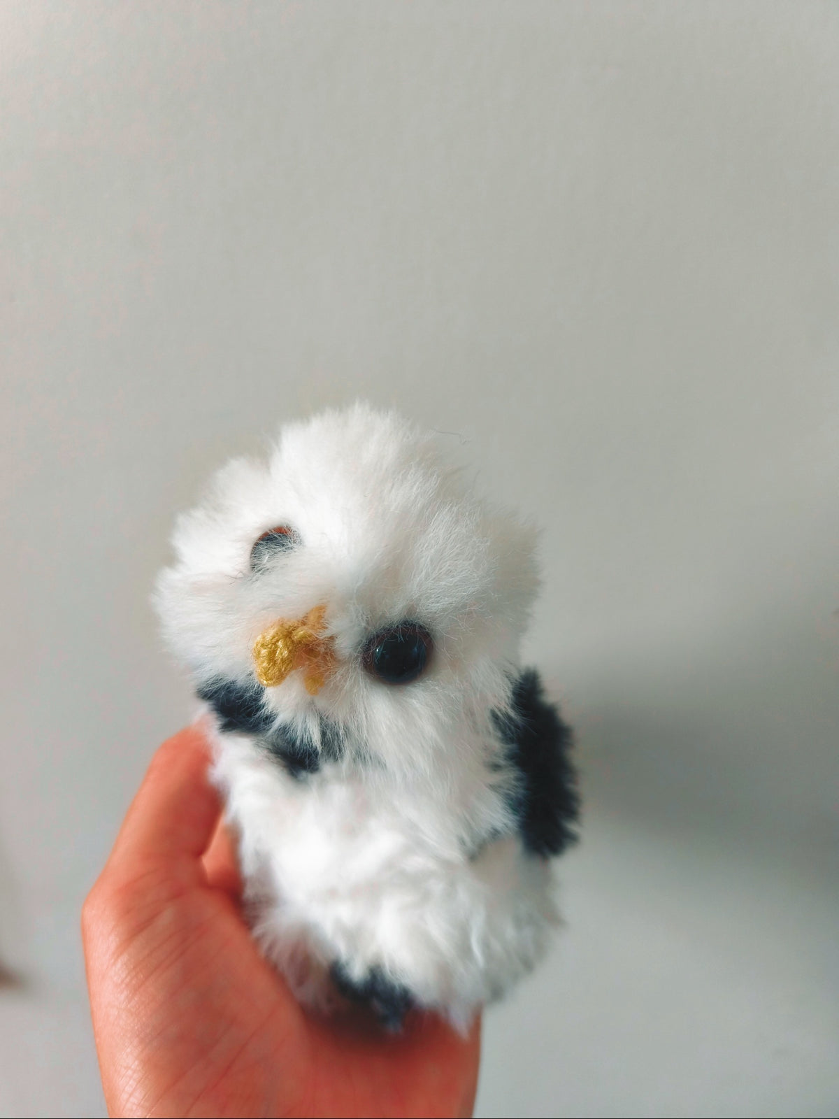 🦉 Mireille