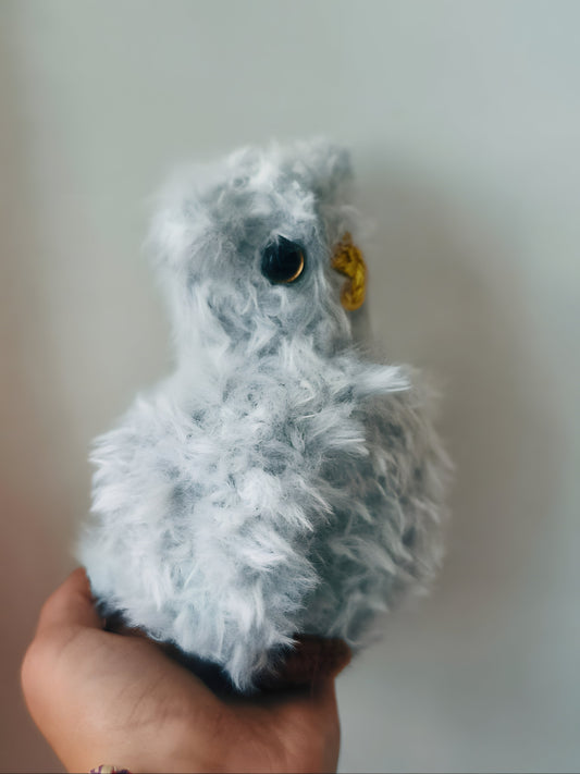 🦉Jeune hibou, young owl, Haafingar