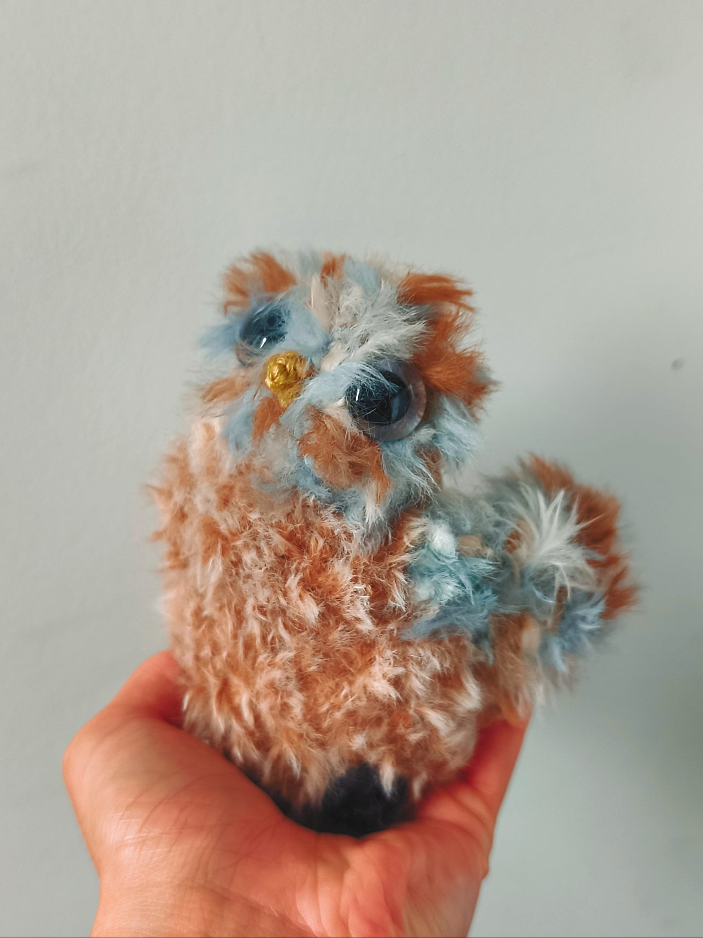 🦉Bébé hibou,baby owl, Krakoutte