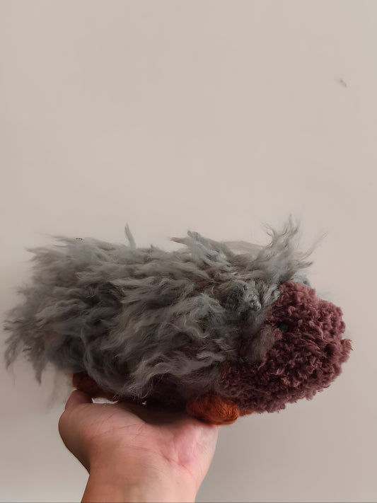 🥕 Cobalt le cochon d'inde, guinea pig