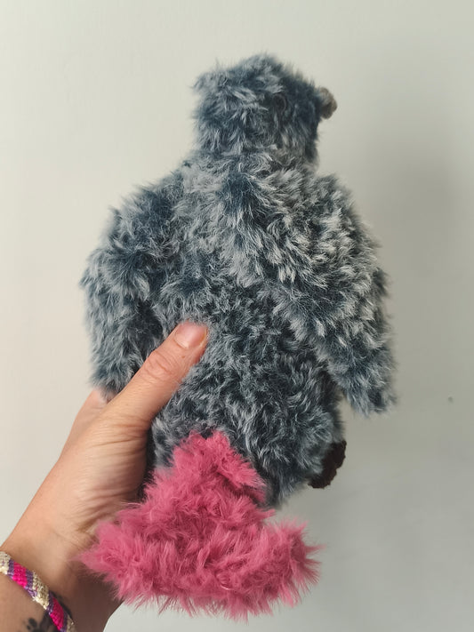 🐦 Gris du Gabon, Coco