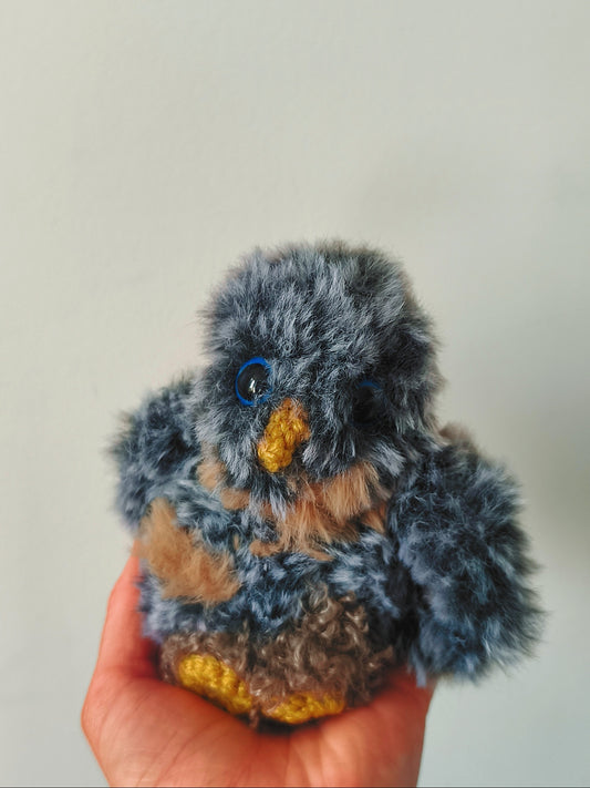 🦉Dolby