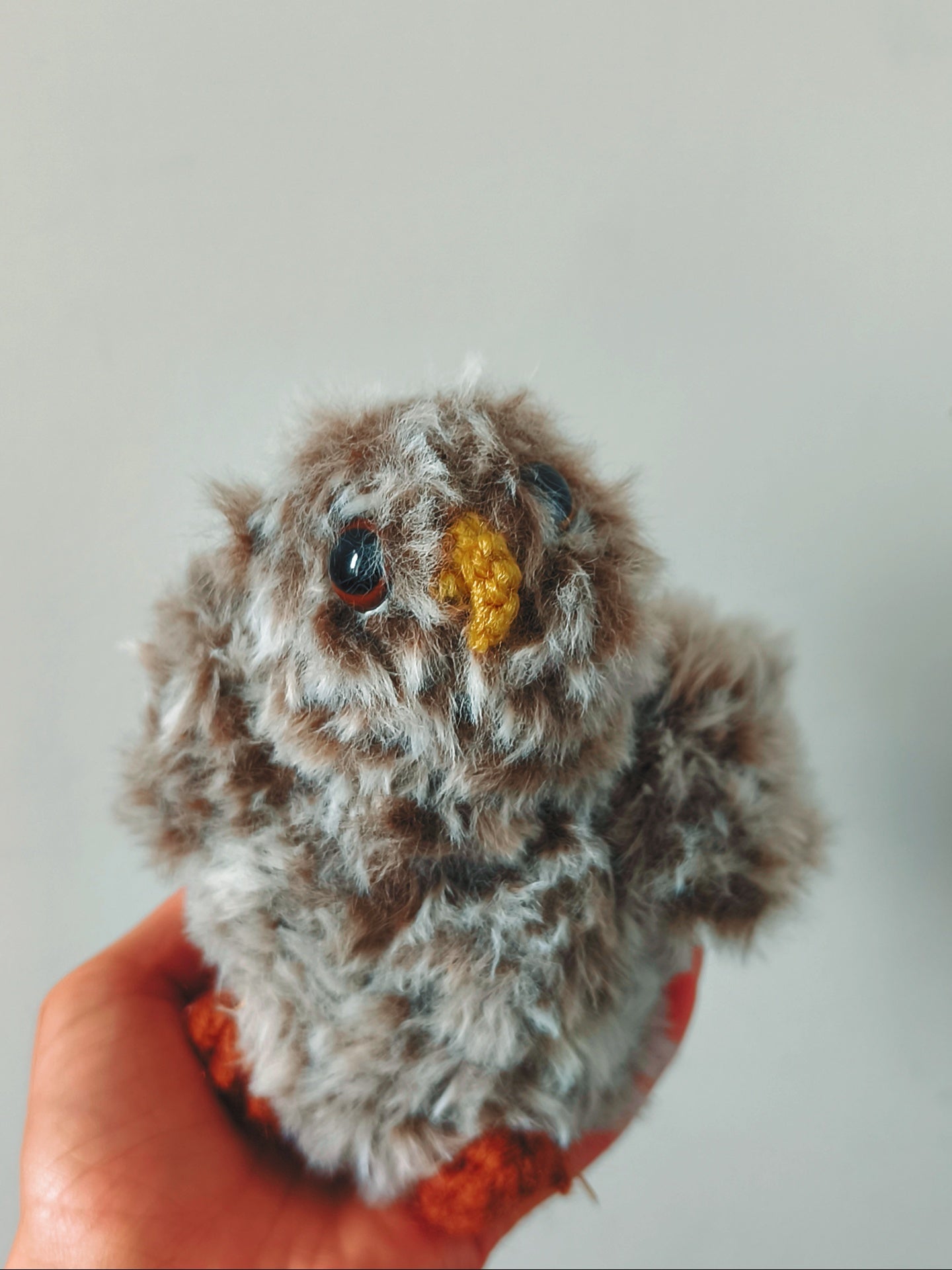 🦉Ourson