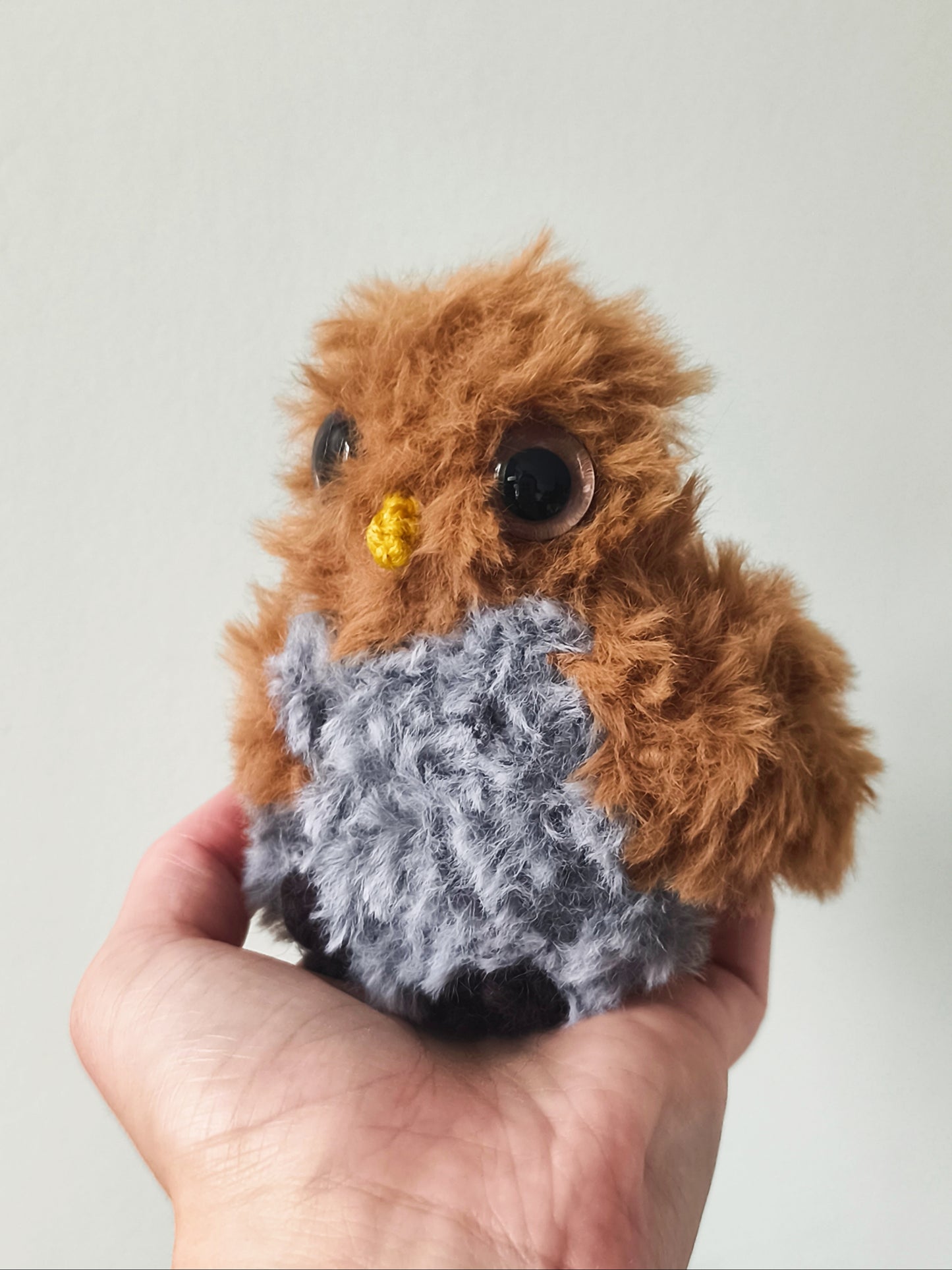 🦉Bébé Hibou, baby owl, Paco