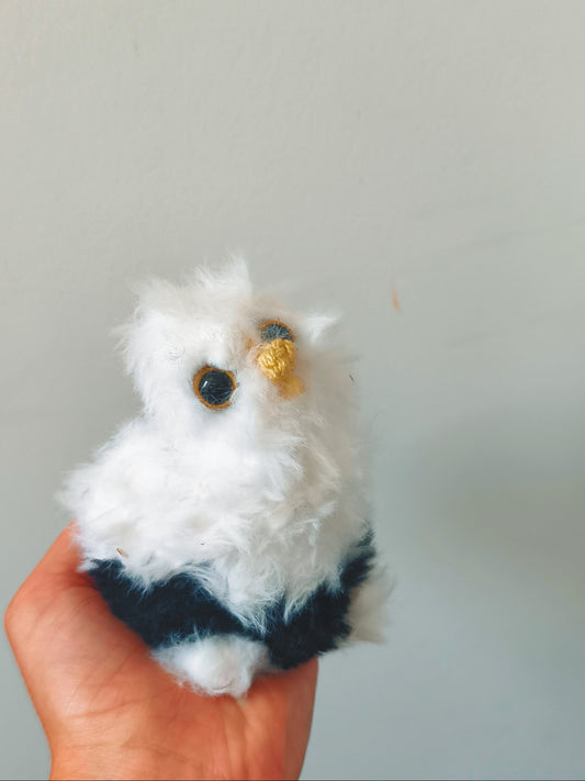 🦉 Framboise