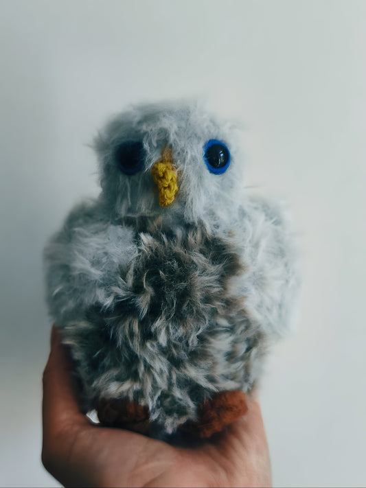 🦉 Bébé hibou, baby owlet Neige
