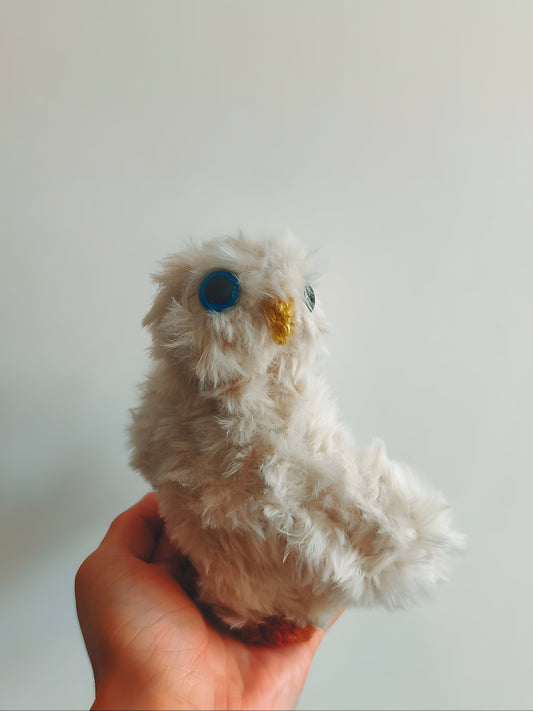 🦉 Bébé hibou, baby owlet, Azura