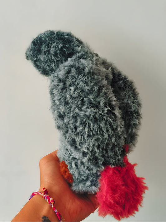 Gris du Gabon, Fleky Boy