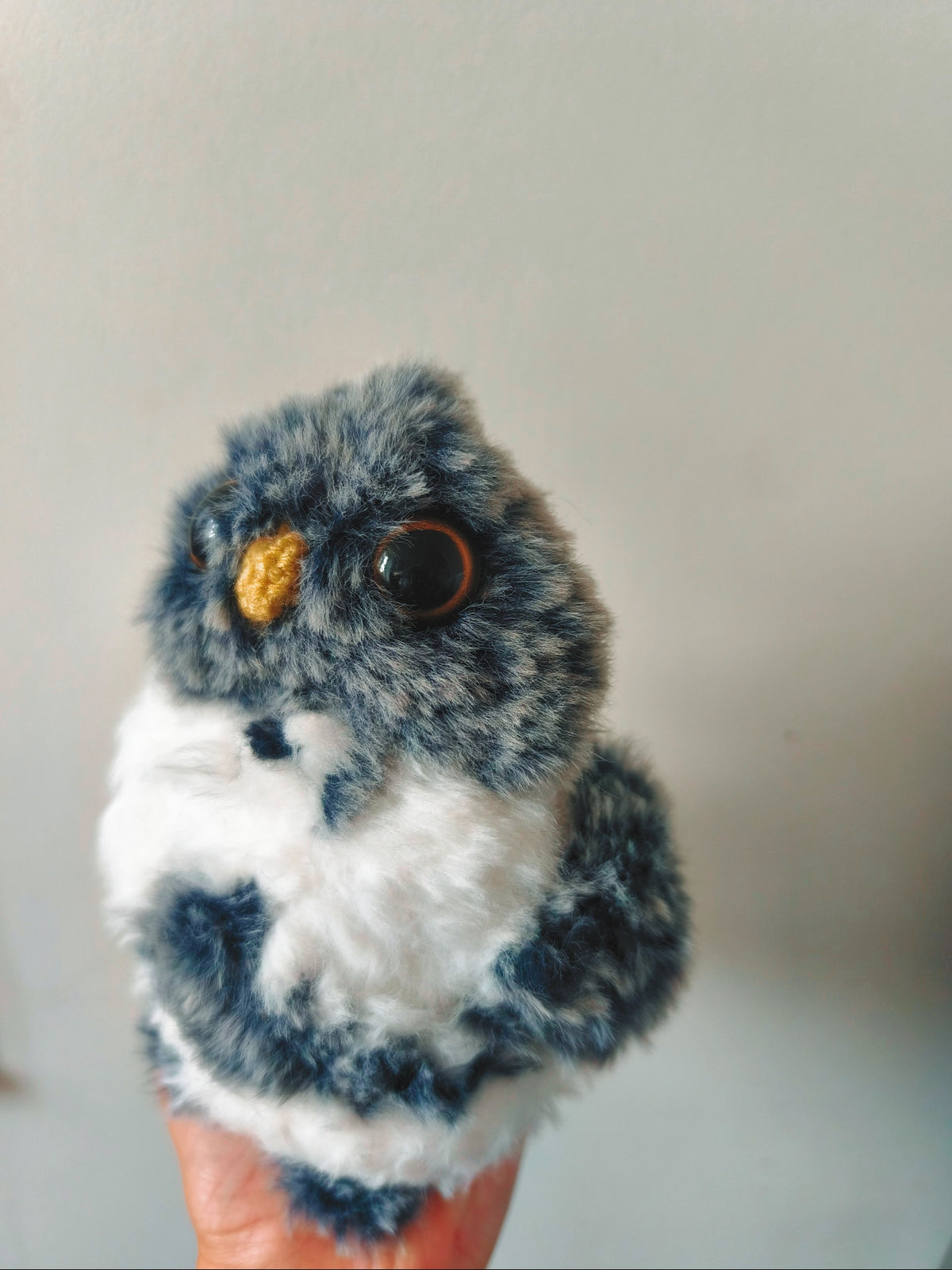 🦉 Vigo
