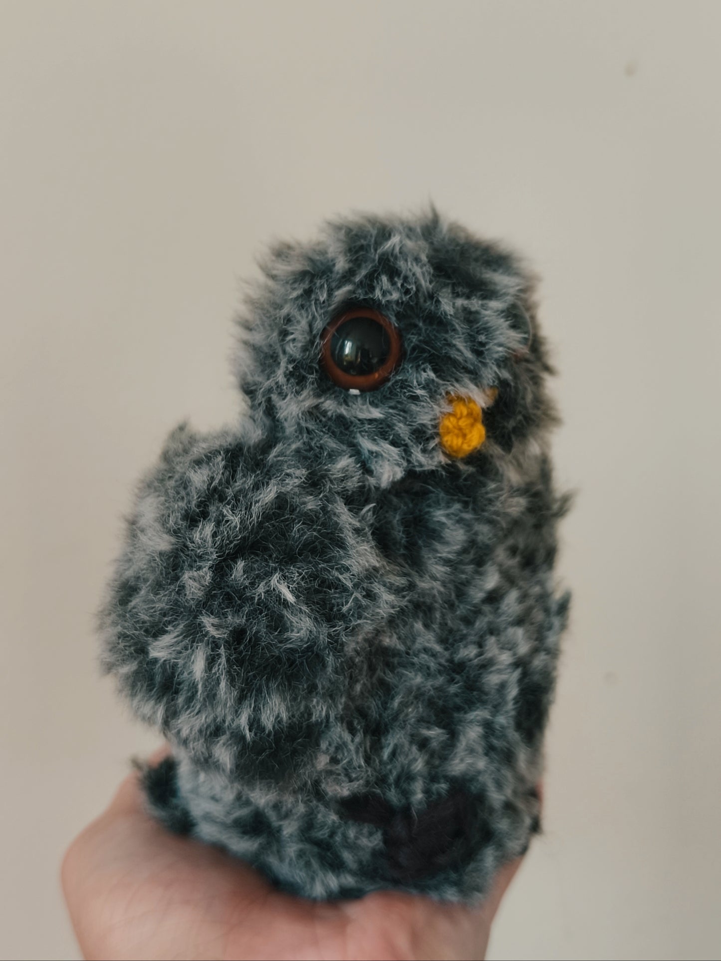 🦉 Bébé hibou, baby owl, Cracotte