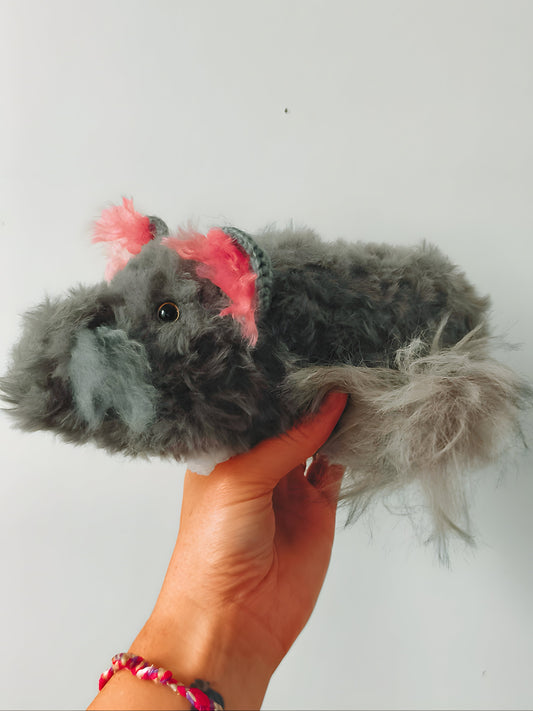 🥕 Nana le chinchilla