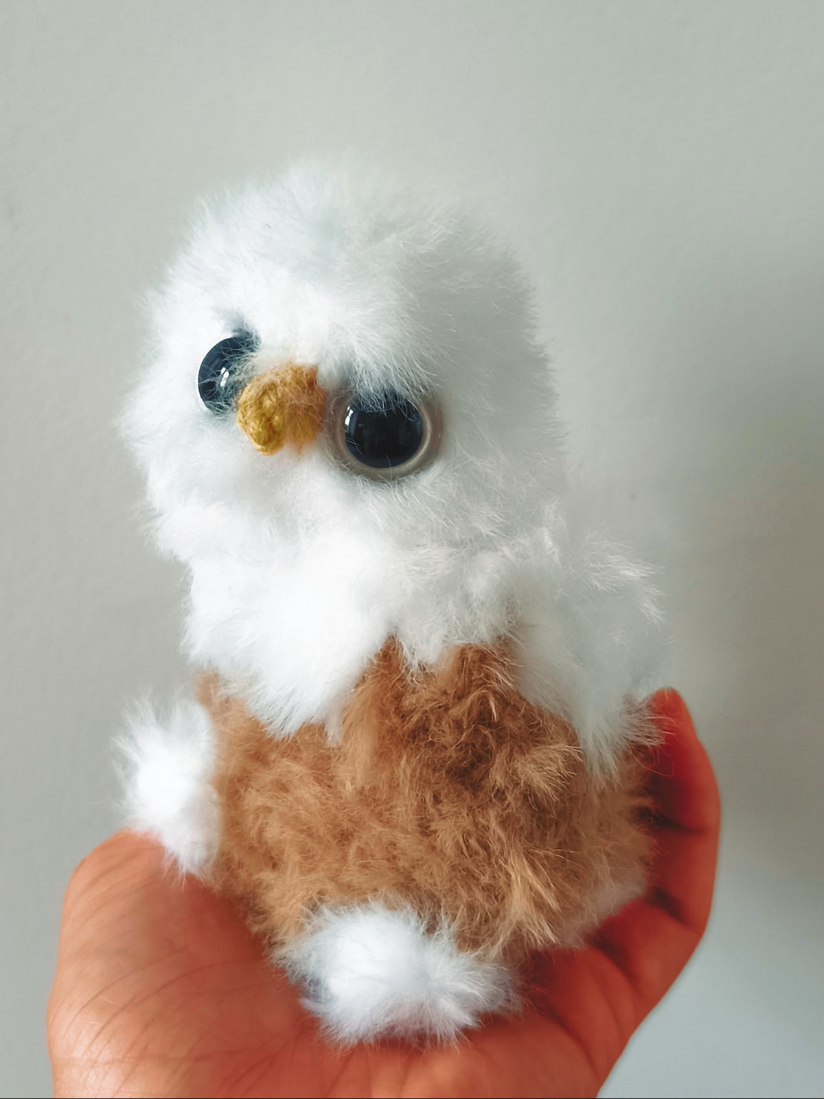 🦉Biscuit