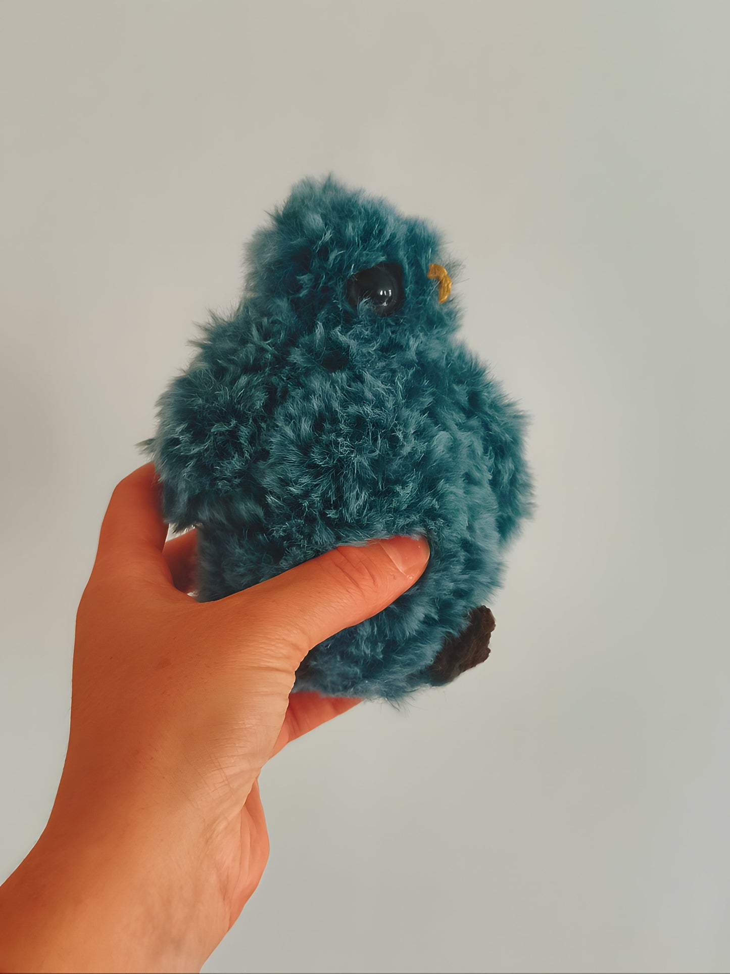 🦉 Bébé hibou, baby owl, Casper