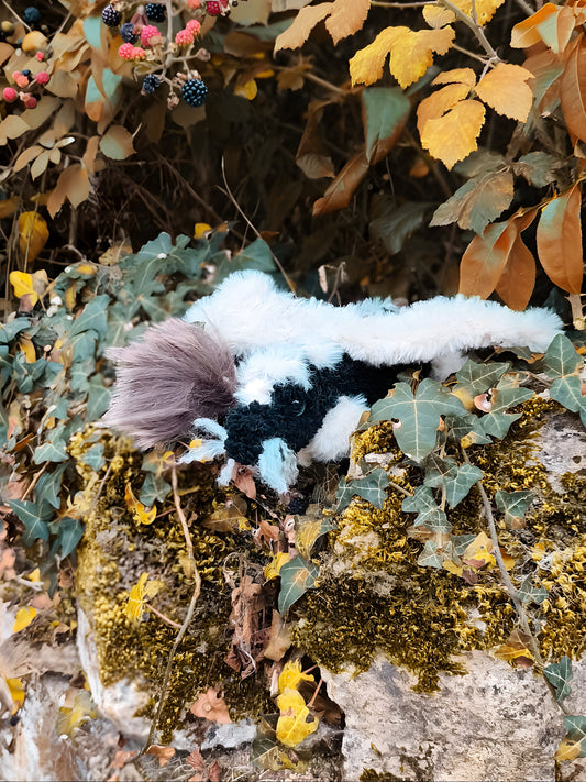 🐉 Bal Fel le dragon