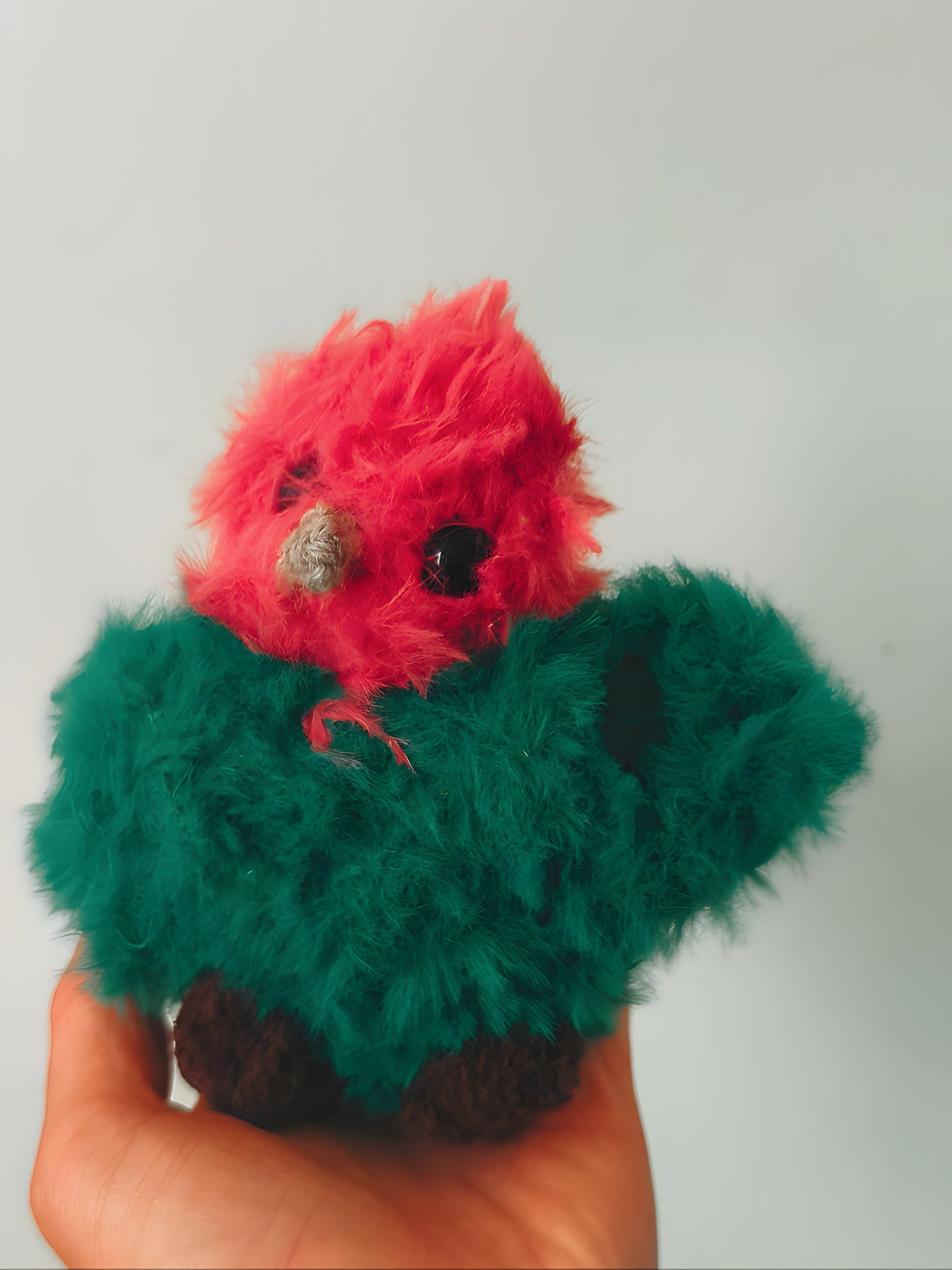 🐦 Petit oiseau, small bird, Jungle