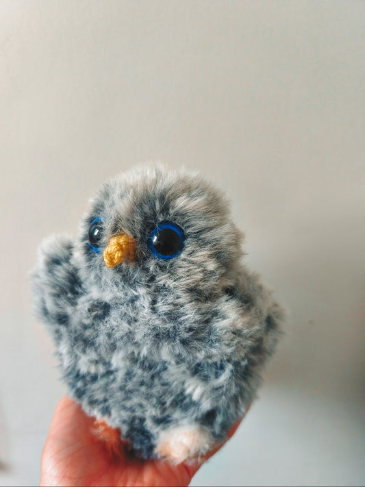 🦉 Azur