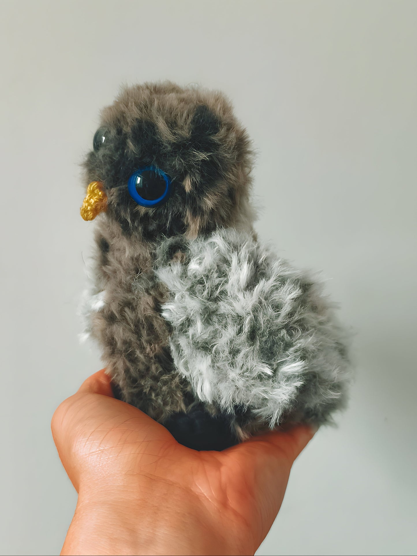 đŠ BĂ©bĂ© hibou, baby owl, Neo