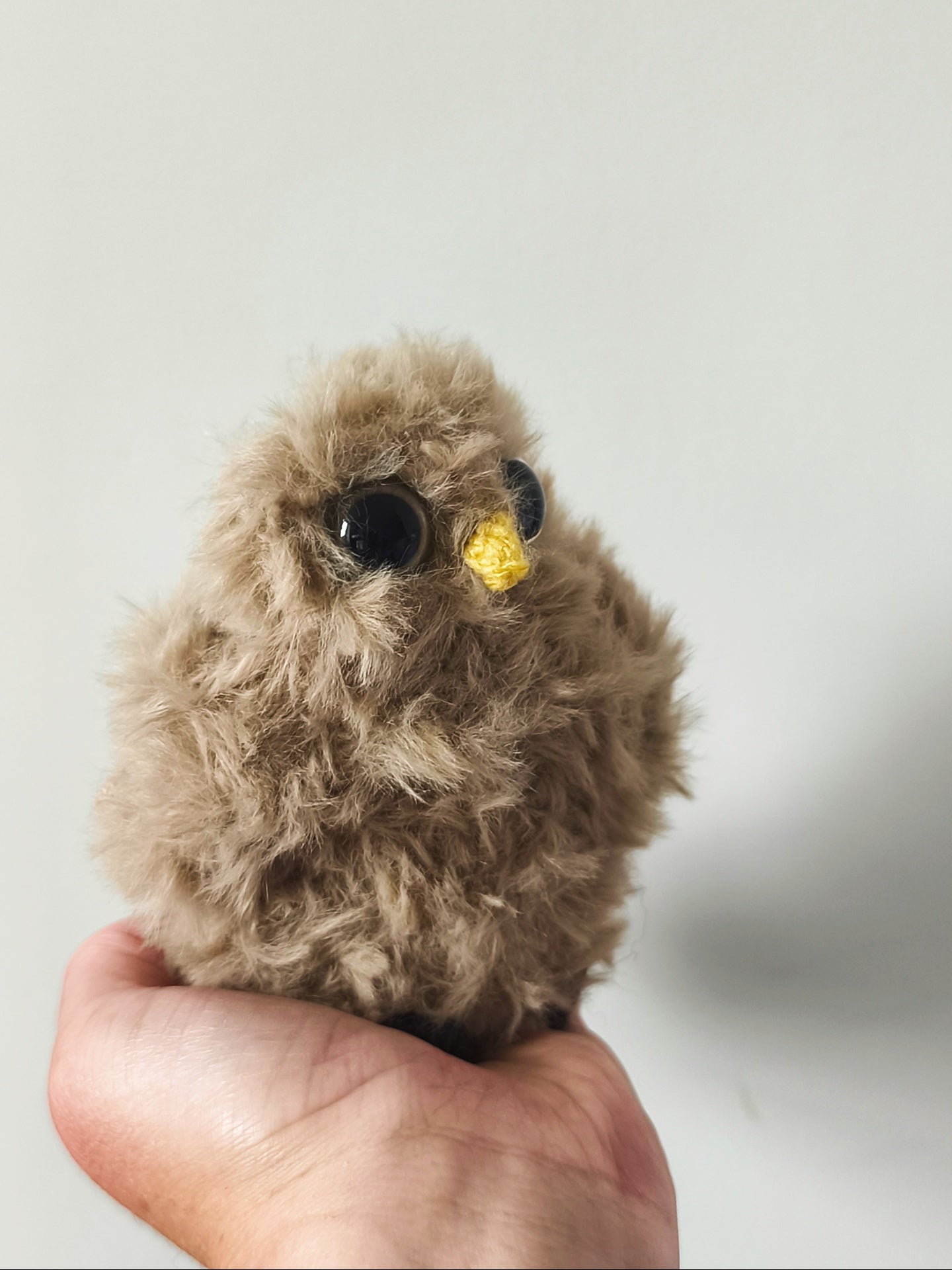 🦉 Sissi