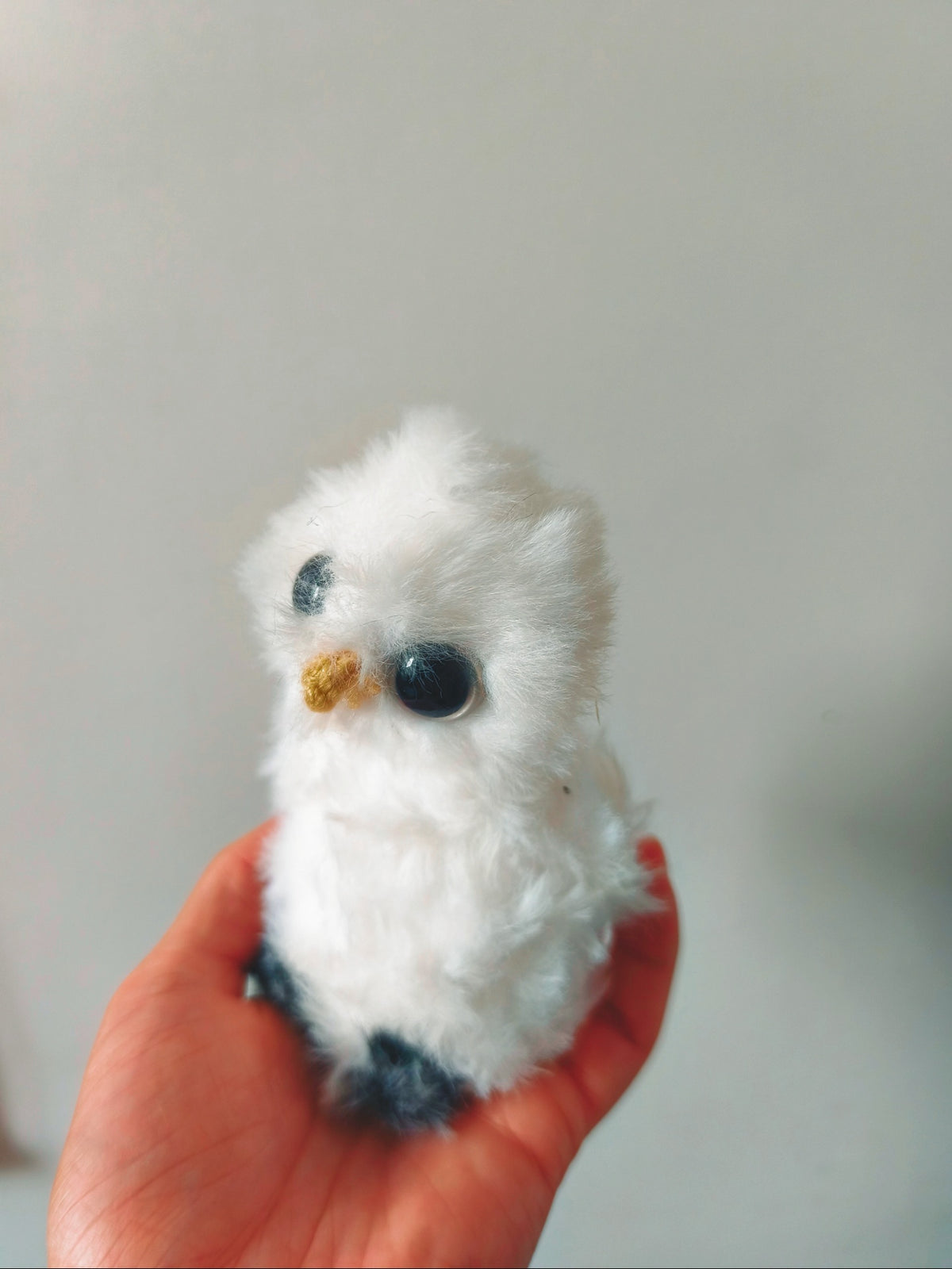 🦉 Orchidée