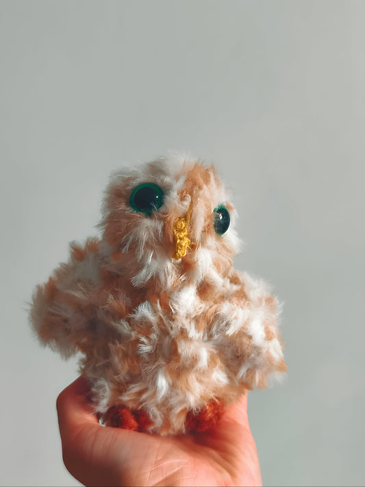 🦉Bébé hibou, baby owl, Noon