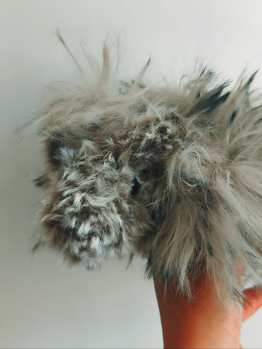 🥕 Rex le cochon d'inde / guinea pig 💖