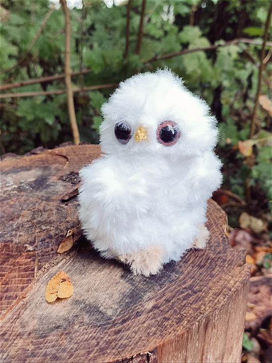🦉 Blancheline
