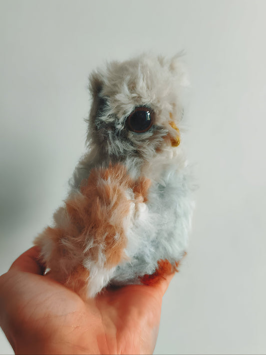 🦉 Bébé hibou, baby owl, Dunmer