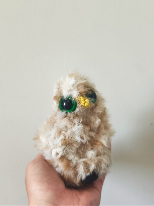 🦉 Lili