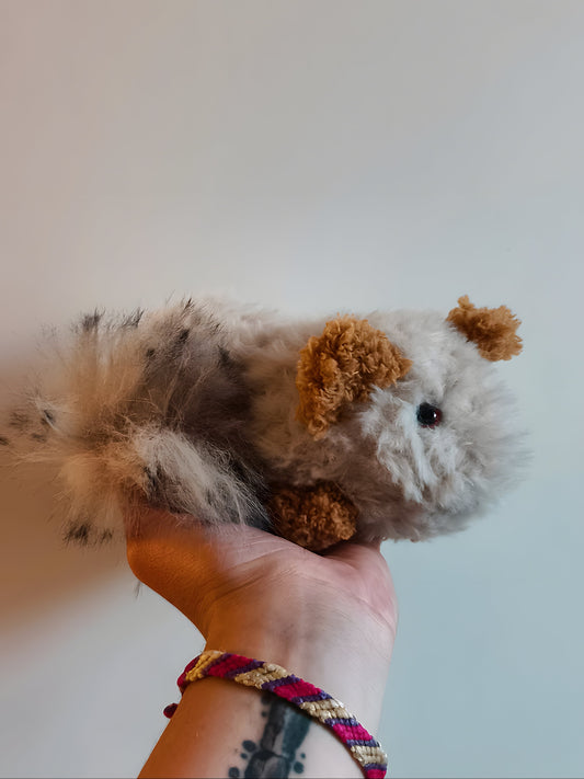 🥕 Bella le chinchilla