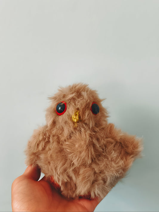 🐦Petit oiseau, small bird, Guizmo