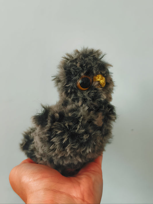🦉 Bébé hibou, baby owl, Tamriel