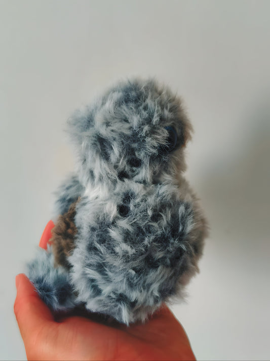 🦉Bébé hibou, baby owl, Copain