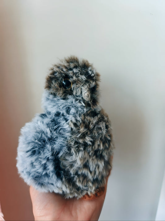 🦉Bébé hibou, baby owlet (Nounours)