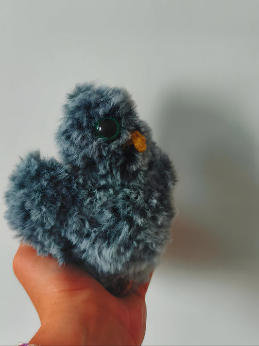 🦉 Bébé hibou, baby owl, Baloo