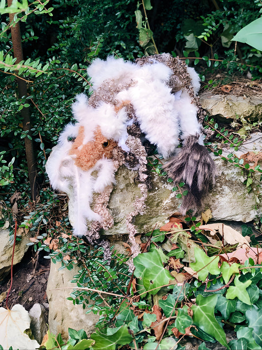 🐉 Tel Mora le dragon