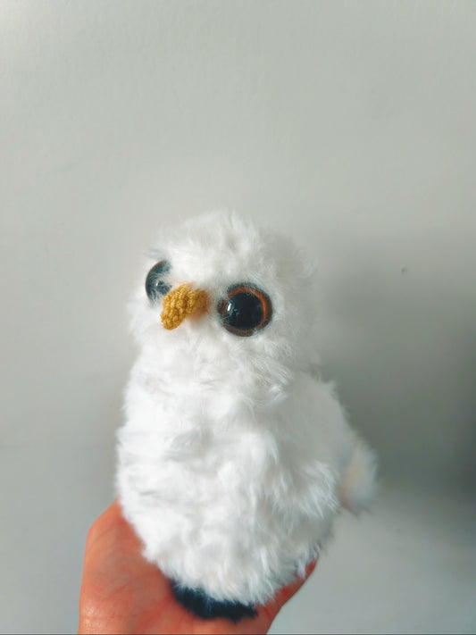🦉 Perle