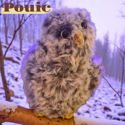 Bébé Hibou ( Pouic )