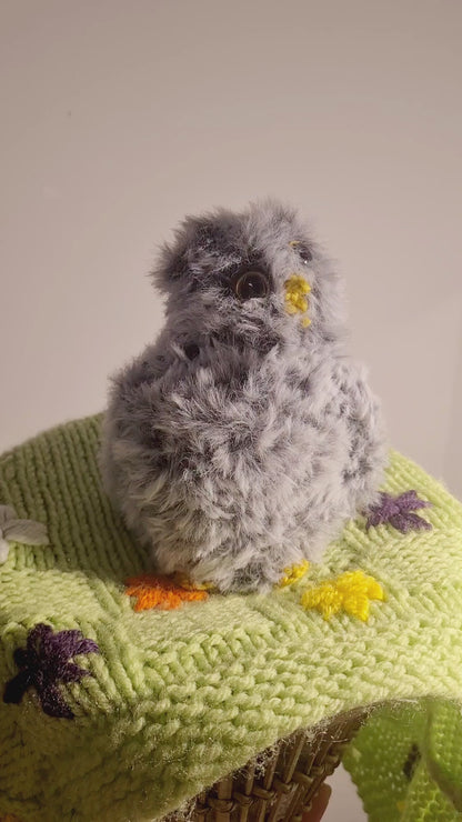 Bébé Hibou ( Pouic )