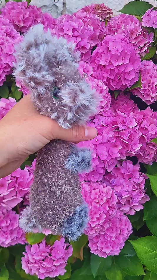 Mr Rabbit Lil'Owlz