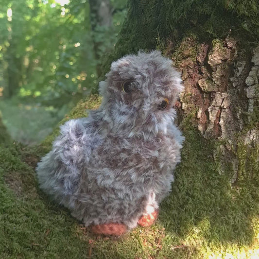 Bébé hibou ( Nounours )
