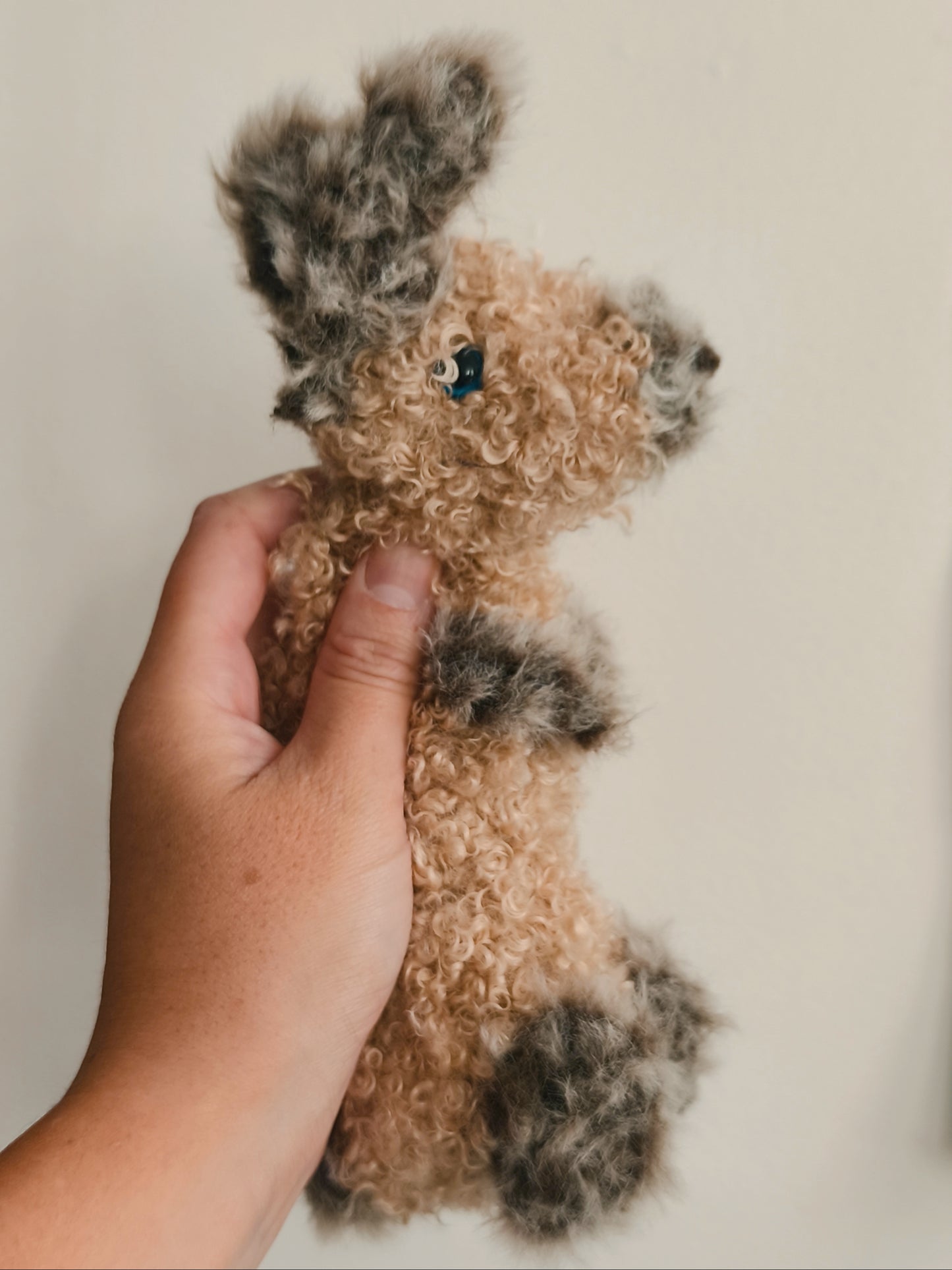 Petit lapin, small rabbit, Jeannot